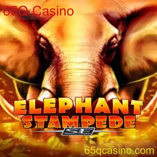 Descubra o Empolgante Jogo ElephantStampedeSE no 65Q Casino